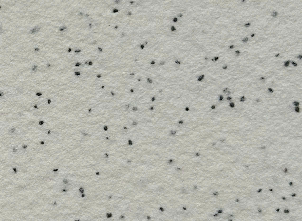 SƠN ĐÁ BAOLIA THẾ HỆ MỚI BL - 2804