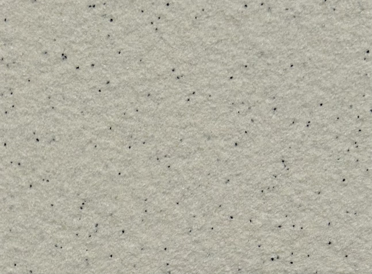 SƠN ĐÁ BAOLIA THẾ HỆ MỚI BL - 2808