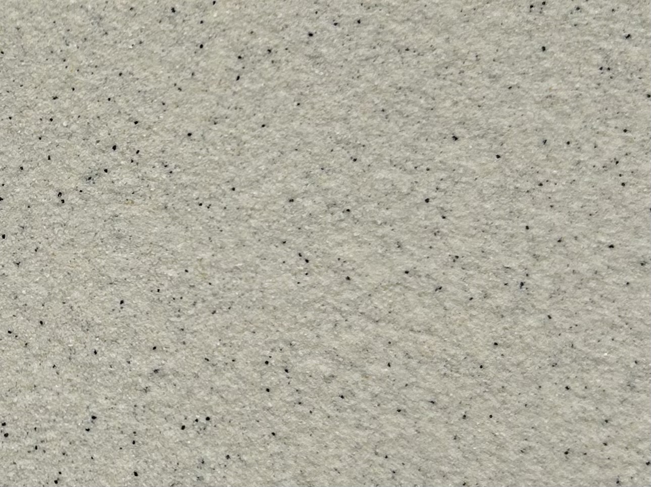 SƠN ĐÁ BAOLIA THẾ HỆ MỚI BL - 2810