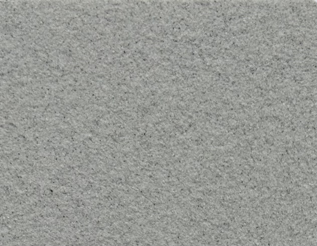 SƠN ĐÁ BAOLIA THẾ HỆ MỚI BL - 2807