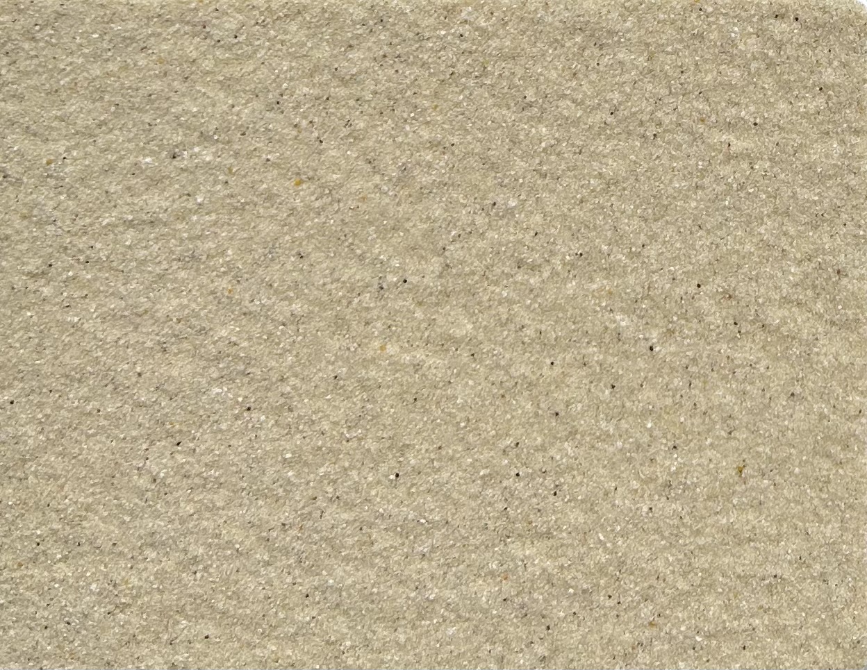 SƠN ĐÁ BAOLIA THẾ HỆ MỚI BL - 2817