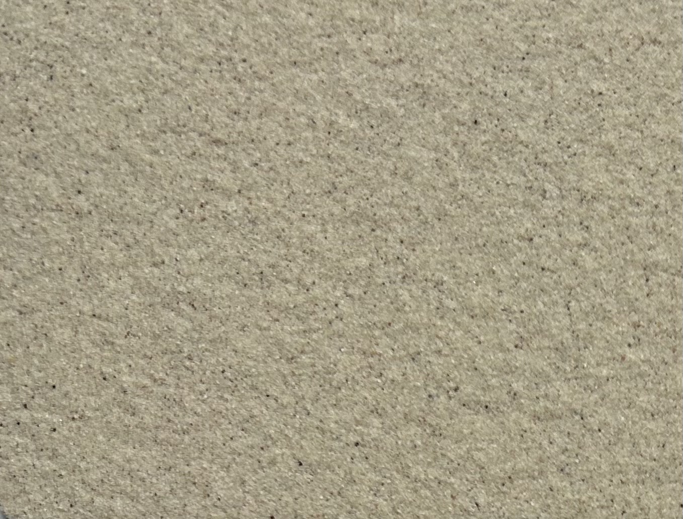 SƠN ĐÁ BAOLIA THẾ HỆ MỚI BL - 2819